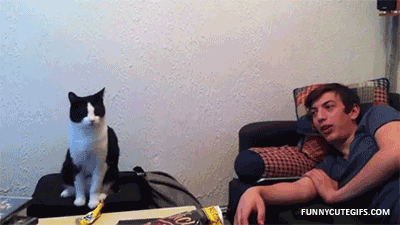 High five
