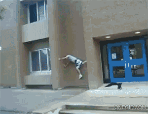 FM1vgYk.gif