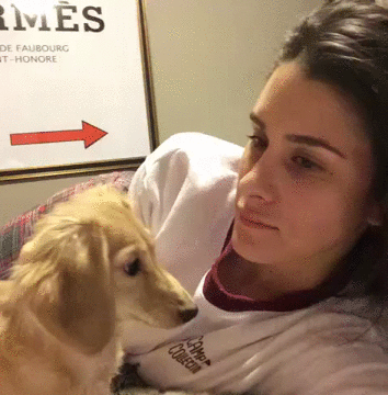 Puppy mouth
