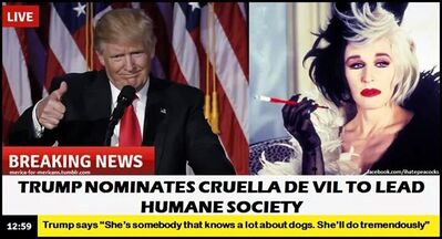 CzhcAJ_UsAAUxyS_large.jpg