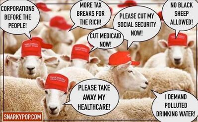 trumpsheep.jpg