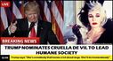 Filename=CzhcAJ_UsAAUxyS_large.jpg
Filesize=61KiB
Dimensions=720x390
Date added=Dec 12, 2016 CzhcAJ_UsAAUxyS_large.jpg