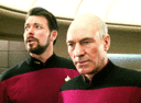MRW_someone_stepped_on_an_active.gif
