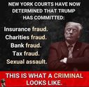 Filename=Trump_Fraud.jpg
Filesize=74KiB
Dimensions=680x664
Date added=Sep 01, 2024 Trump_Fraud.jpg