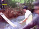developer~0.gif