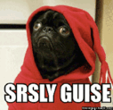 dog_seriously_conspiracy.gif