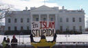 stupid.jpg