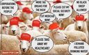 trumpsheep.jpg