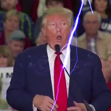 trump.gif
